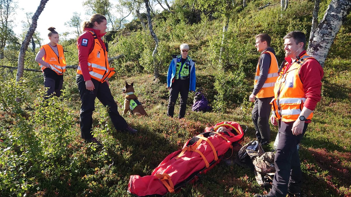 hundeekvipasje__rk_og_ba_re