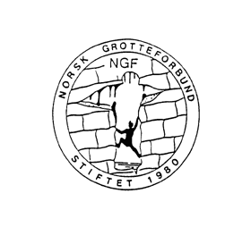logo_ngf