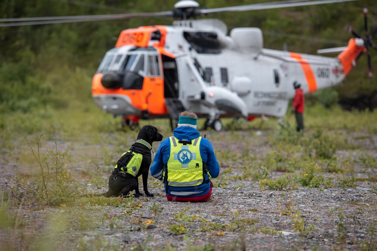 nrh_hundef_rer_med_hund_og_sea_king-3